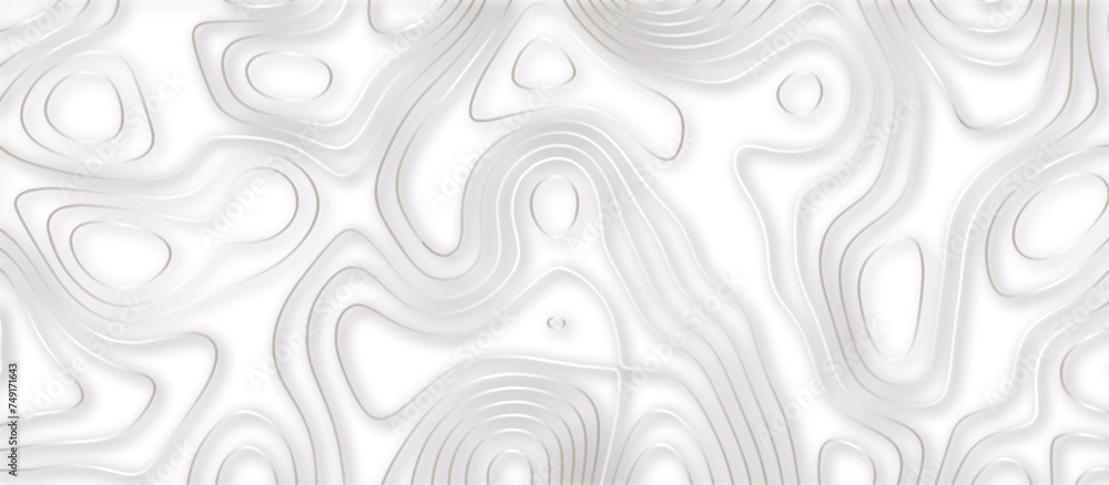 Abstract topographic contours 3d map background .topographic line texture background .monochrome image .stylized height of the topographic map contour in lines. Abstract topographic contours 3d map background .topographic line texture background .monochrome image .stylized height of the topographic map contour in lines.