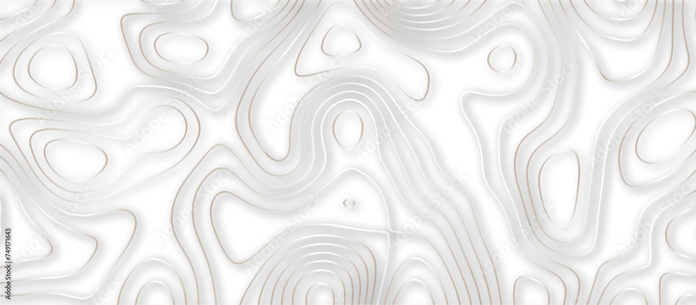 Abstract topographic contours 3d map background .topographic line texture background .monochrome image .stylized height of the topographic map contour in lines.	