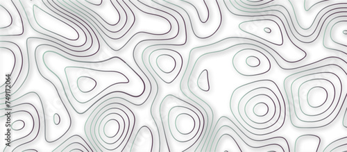 Abstract topographic contours 3d map background .topographic line texture background .monochrome image .stylized height of the topographic map contour in lines. 