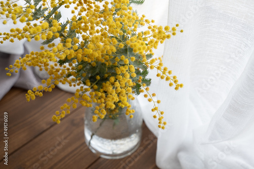 mimosa