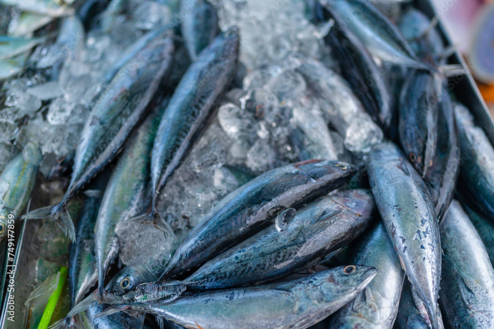 Fresh seafood variety fish sell in traditional asian market Fresh seafood variety fish sell in traditional asian market