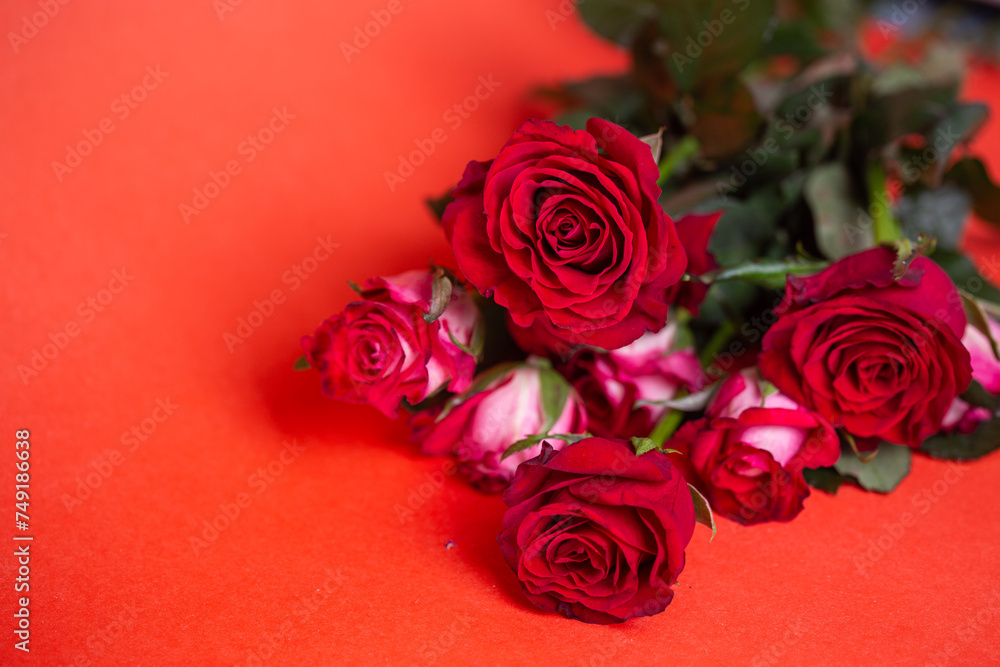 Red Roses Bouquet on Red Background. Valentines Day, Love, Romance. Copy Space. Top View. Red Roses Bouquet on Red Background. Valentines Day, Love, Romance. Copy Space. Top View.