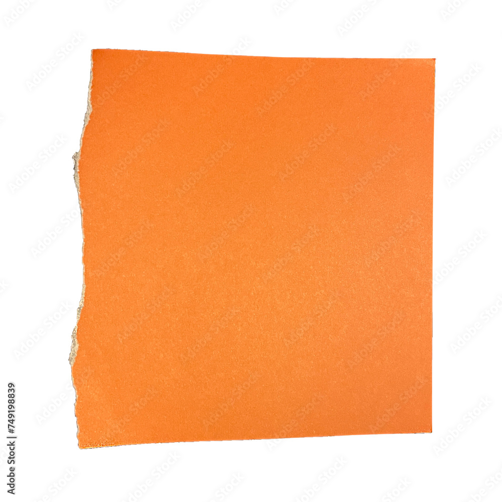 Fototapeta premium Ripped Paper note memo grid vintage scrapbook high quality isolated