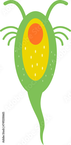 Microorganism Copepod Cartoon