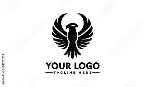 Fototapeta Naklejka Na Ścianę i Meble -  Murphy vector logo eagle vector logo bird for Small Business