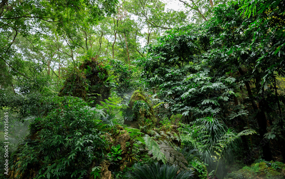 Beautiful view of tropical garden landscape Beautiful view of tropical garden landscape