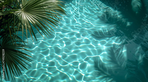Tropical palm leaves floating in a swimming pool. 