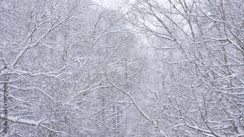 雪山のスローモーション映像