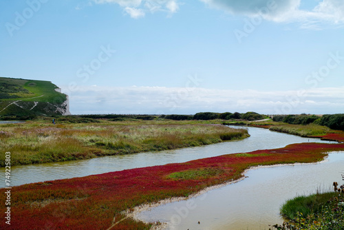 Beautiful bright red grass on a pond near seven sisters hill on the south coast of England