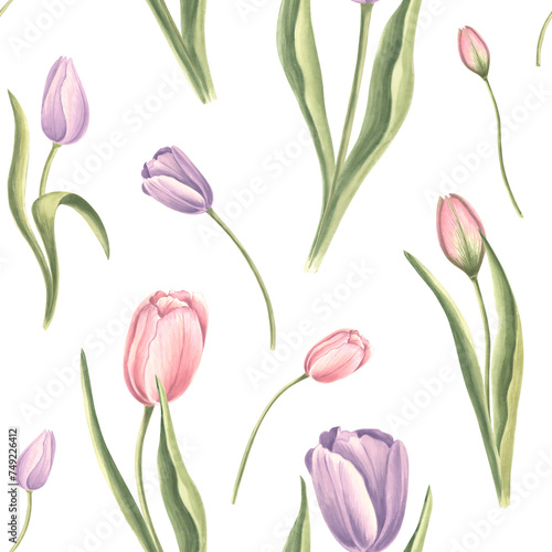 Seamless pattern from purple pink tulips with leaves on a white background. Hand drawn watercolor illustration garden spring blossom. Template for fabric  wallpaper  scrapbooking  wrapping  textile.