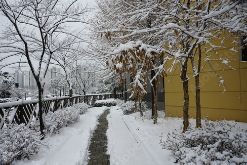 밤새 내일 눈이 마을을 흰눈으로 덥어놓았습니다