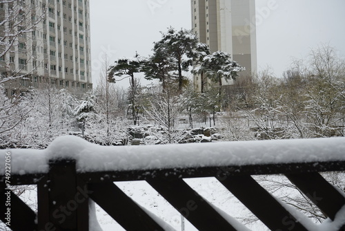 밤새 내일 눈이 마을을 흰눈으로 덥어놓았습니다