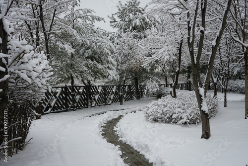 밤새 내일 눈이 마을을 흰눈으로 덥어놓았습니다
