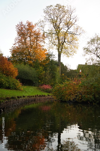 Photography Vibrant and tranquil nature in Denmark