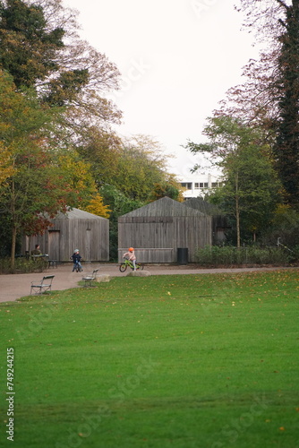 Vibrant and tranquil nature in Denmark