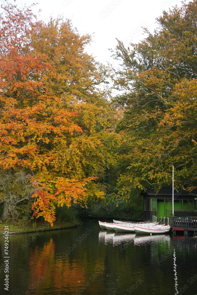 Fototapeta premium Vibrant and tranquil nature in Denmark