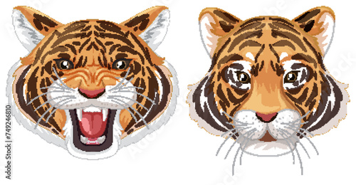 Fototapeta Naklejka Na Ścianę i Meble -  Two tiger faces showing different emotions