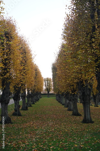 Photography Vibrant and tranquil nature in Denmark