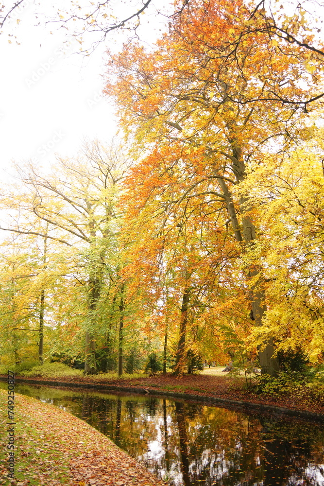 Vibrant and tranquil nature in Denmark