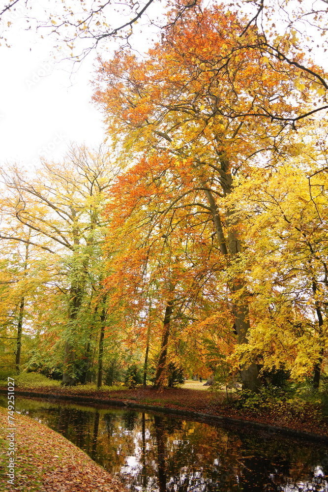 Vibrant and tranquil nature in Denmark