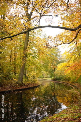 Photography Vibrant and tranquil nature in Denmark