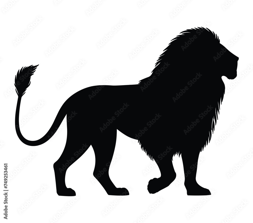 African Lion. Vector image. White background.