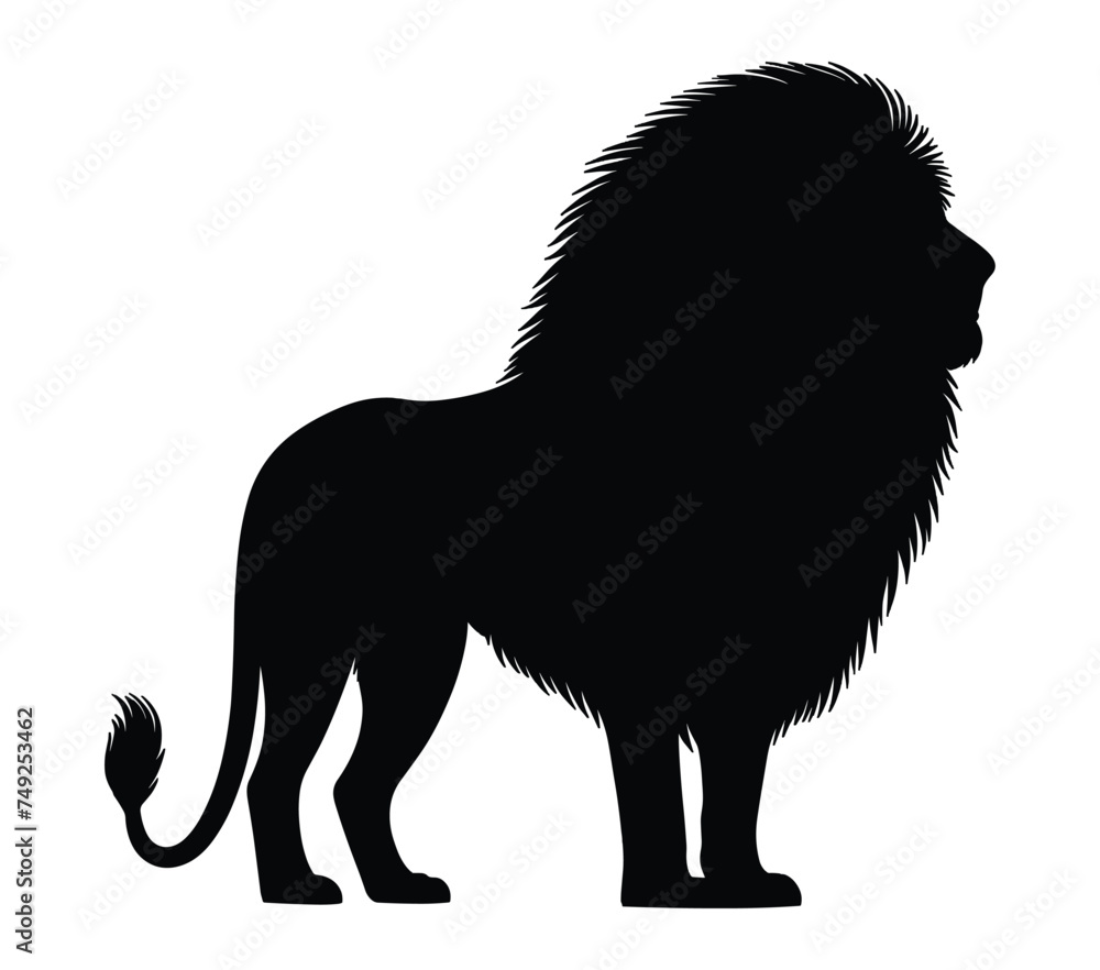 Black and white vector illustration of African Lion.