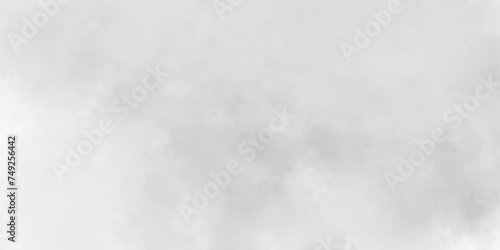 White dreaming portrait,design element nebula space.blurred photo brush effect abstract watercolor smoke cloudy.ice smoke smoke exploding.vector illustration texture overlays. 