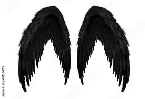 Symmetrical Black Bird Wings Isolated on White