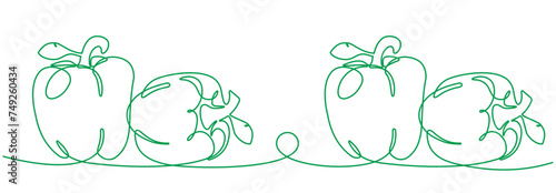 Bell peppers in continuous line art drawing style. Black linear sketch isolated on white background. Vector illustration