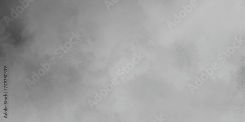 White transparent smoke.horizontal texture mist or smog isolated cloud vintage grunge dreaming portrait abstract watercolor empty space AI format fog effect galaxy space. 