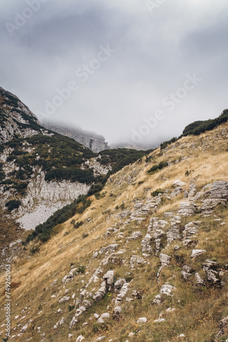 Hiking trail in the mountains with rocks and dry grass during autumn, Durmitor, Montenegro
