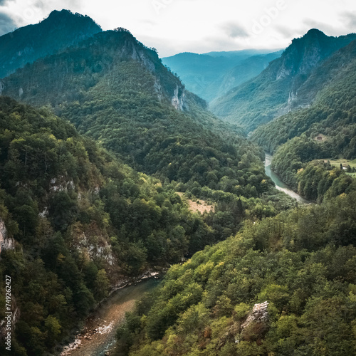 River canyon in the mountains with forest on the slopes, the river Tara canyon, Montenegro