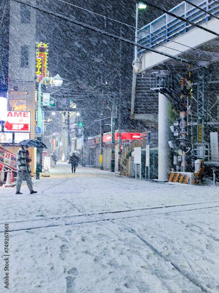 Fototapeta premium 東京の大雪