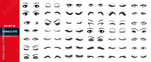 Cartoon female eyes collection vector, unicorn eyelashes, closed woman eyes, icon set.