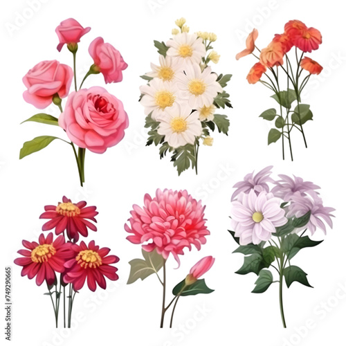 PNG Set of floral branch watercolor elements