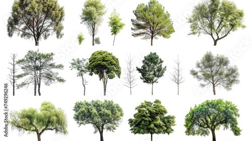 Collection of trees isolated on white background © buraratn