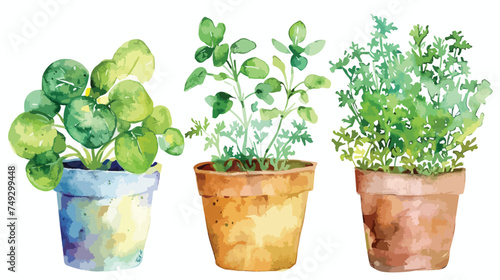 Watercolor illustration with garden seedlings of gre photo
