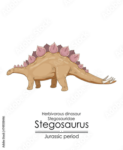 Stegosaurus, herbivorous, armored dinosaur from the Jurassic period.