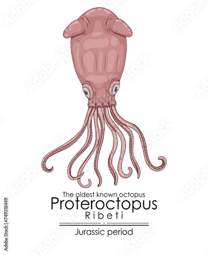 The oldest known octopus Proteroctopus Ribeti from Jurassic period. 