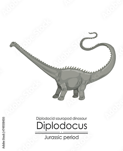 Diplodocus, a Jurassic period herbivorous creature