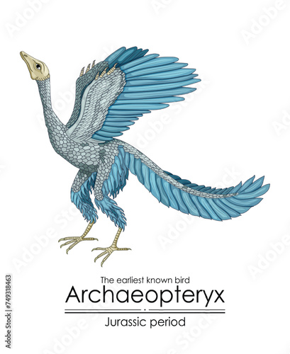 Archaeopteryx, the earliest known bird from the Jurassic period.