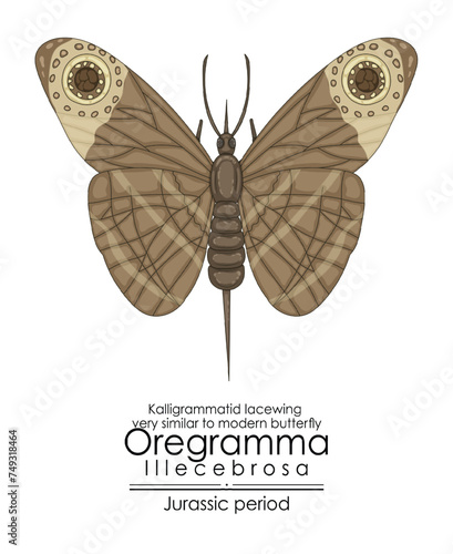 Prehistoric butterfly-like insect Oregramma illecebrosa from Jurassic period, very similar to modern butterfly