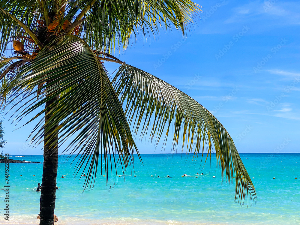 Fototapeta premium Beautiful landscape of Mauritius island with turquoise lagoon