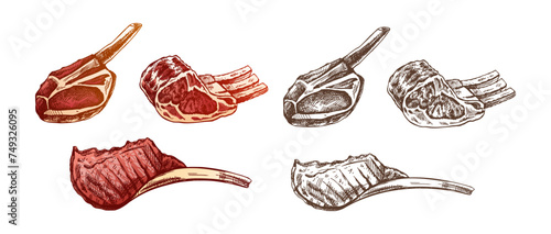 Hand-drawn colored and monochrome vector sketches of pork, beaf, lamb ribs, piece of meat, set. Doodle vintage illustration. Decorations for the menu. Engraved image.
