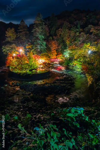 Fototapeta Naklejka Na Ścianę i Meble -  日本　青森県黒石市にある中野もみじ山のライトアップされた紅葉