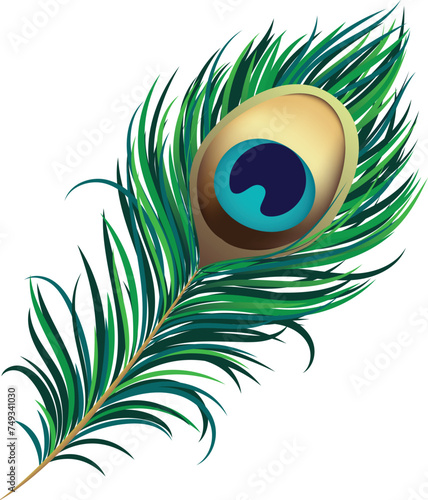 Peacock feather illustration for decoration, festivals
