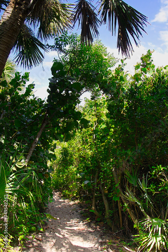 Hiking trail in Sebastian Inlet State Park