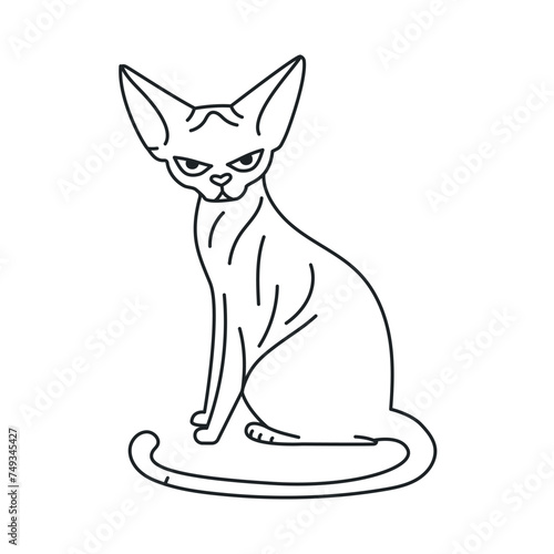 Sitting sphinx cat color element. Cartoon cute animal.