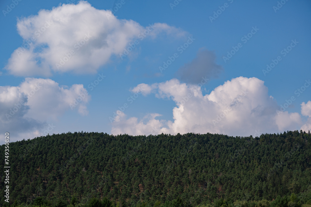 Summer landscape with beautiful clouds and forest. Sky over trees Summer landscape with beautiful clouds and forest. Sky over trees